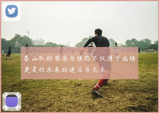 泰山队的困惑与愤怒不仅源于成绩更是对未来的迷茫与无奈
